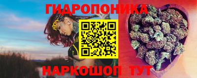ешки Будённовск