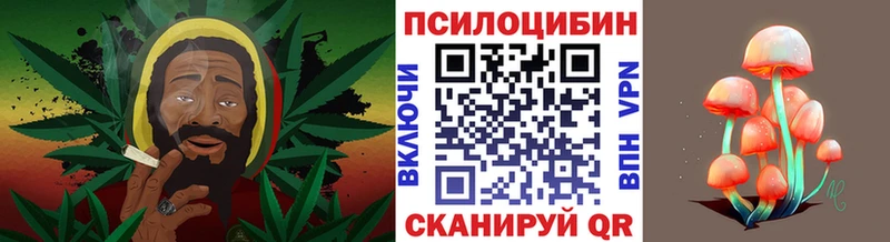 kraken зеркало  Торжок  Псилоцибиновые грибы Magic Shrooms  хочу  
