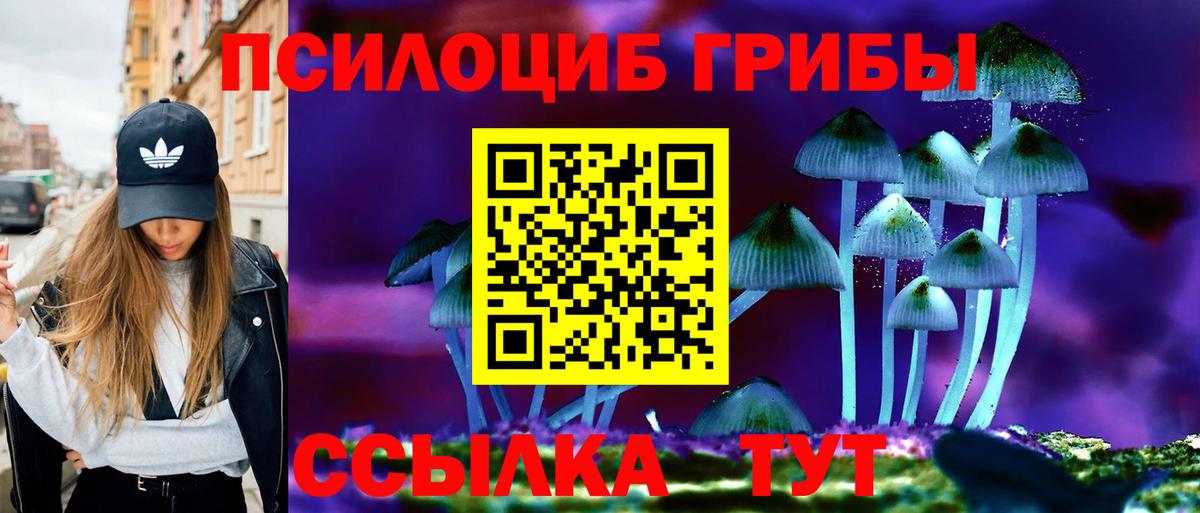 Псилоцибиновые грибы мухоморы  Вход с VPN  Торжок 